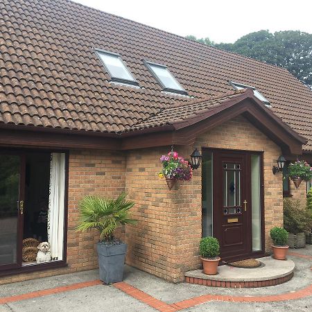 The Firs - Englefied Studio Douglas Exterior foto