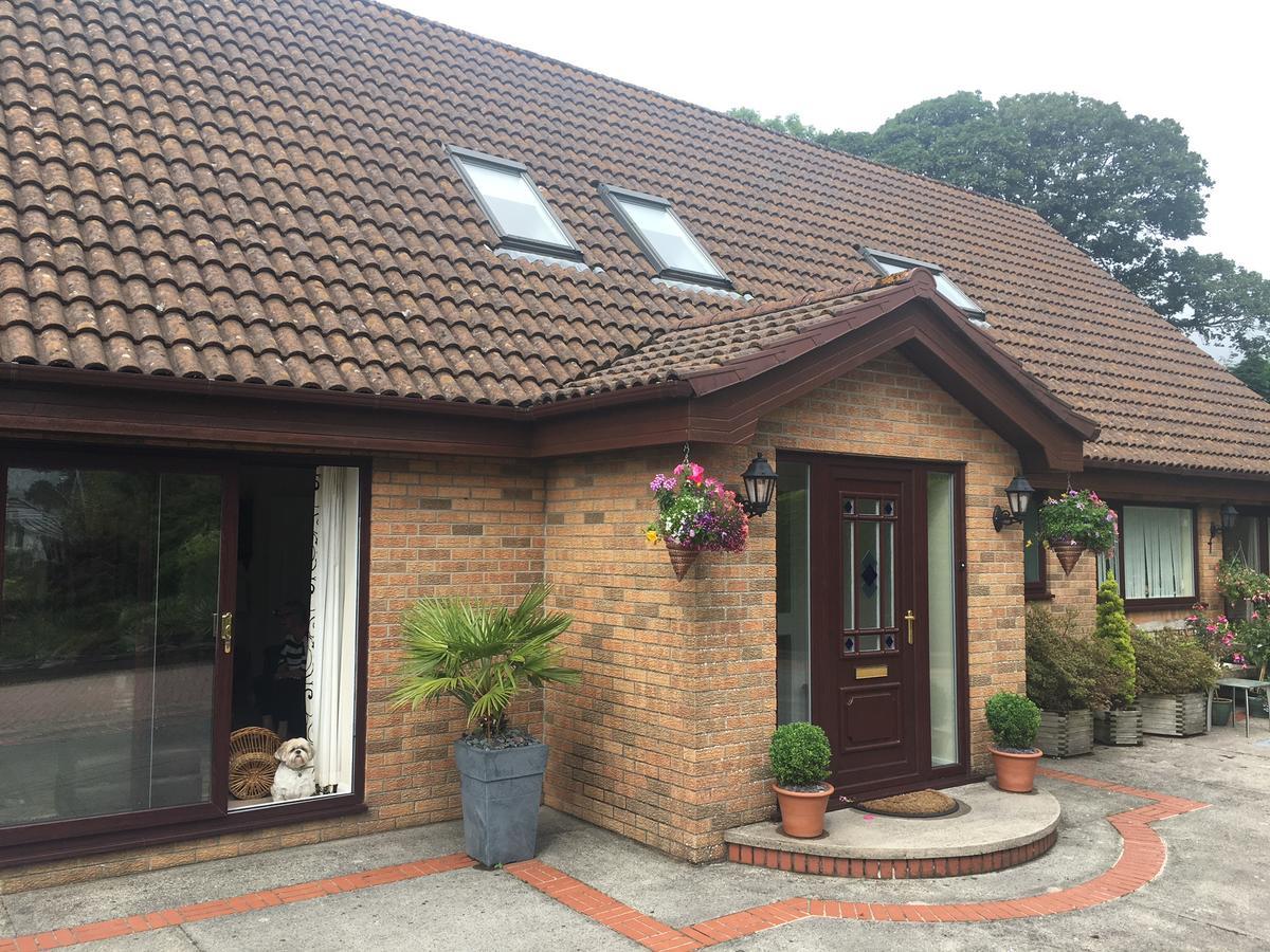 The Firs - Englefied Studio Douglas Exterior foto
